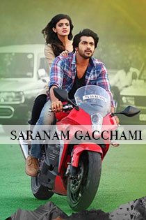 Saranam Gacchami 2017 10047 Poster.jpg
